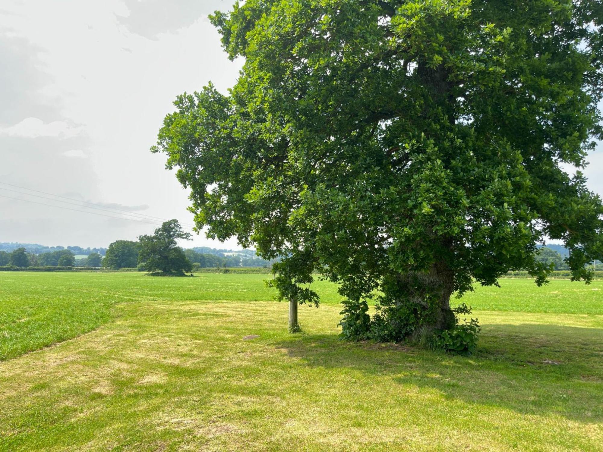 Pass The Keys Hare Cottage Wonderful Views And Parking Moreton-in-Marsh Экстерьер фото
